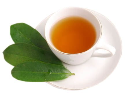 Té de Guanábana: Cómo Hacer el Té de Guanábana Perfecto Té de Guanábana: Cómo Hacer el Té de Guanábana Perfecto