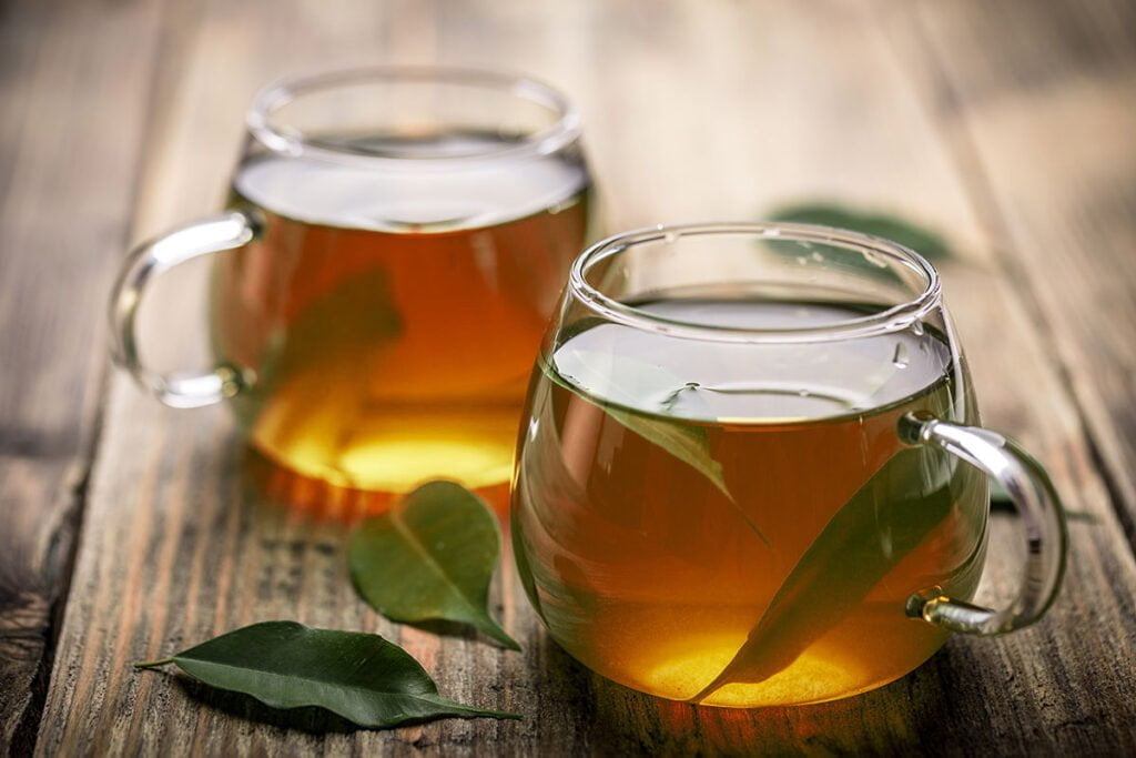 Guanábana: Una Exploración de Tradición, Nutrientes e Interés Científico té de guanábana
